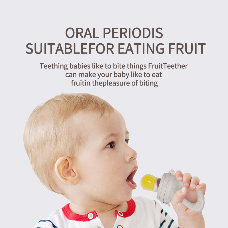Alimentador de frutas para beb - Baby Food Vegetables reseña y precio