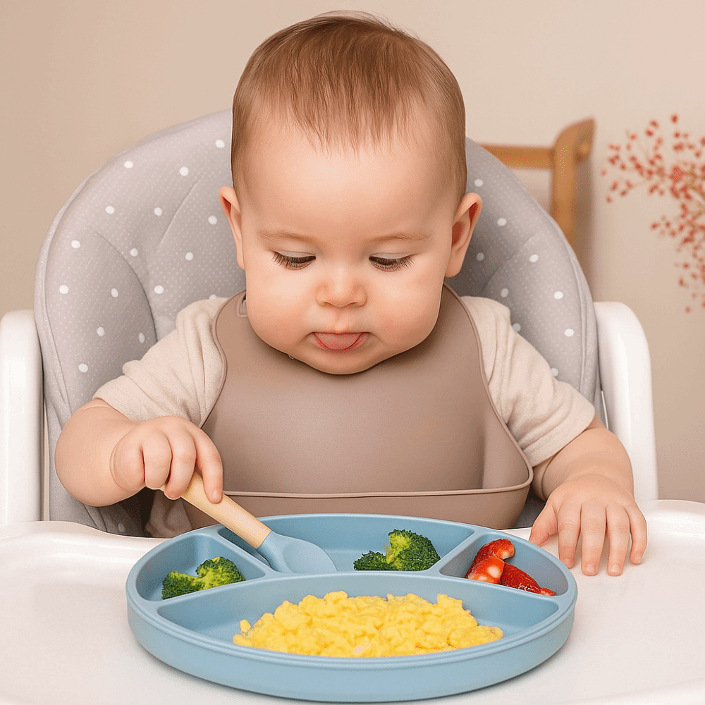 Plato dividido de silicona ant - Plate Suction Toddler reseña y precio
