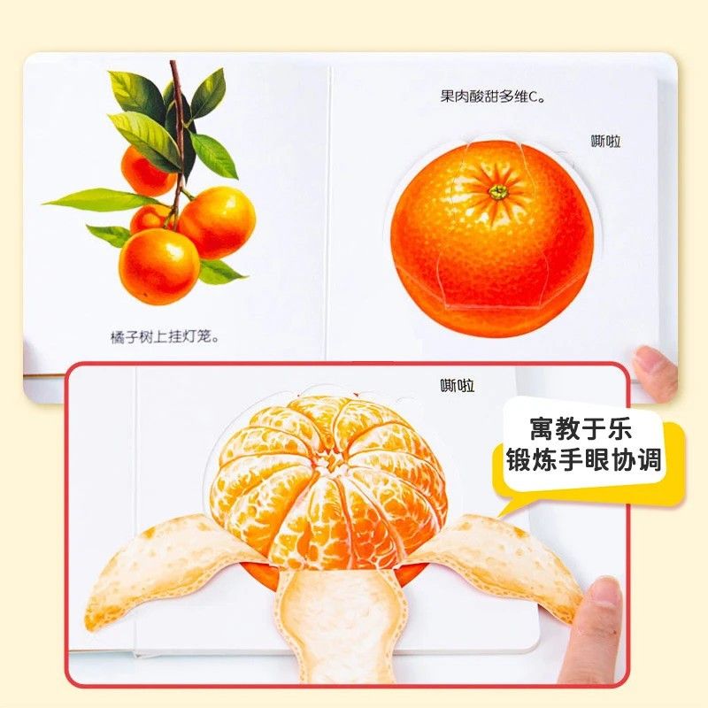 Flipbook para educación alimen - Baby Food Age reseña y precio